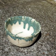 Saladier "Lichen" 13cm...30 €