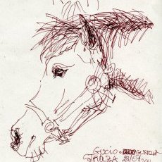 Gustaw à Stôza, Pologne