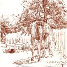 Poupie d'Irleau
