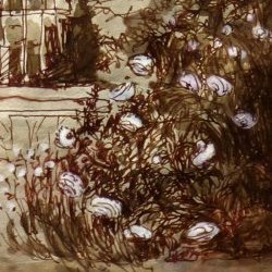 image La Rose d'Une Amie