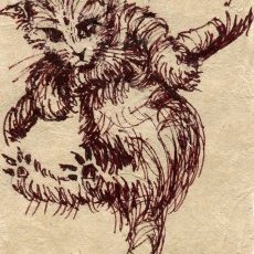 Chat
