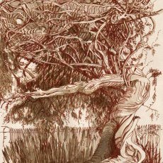 La Folie d'Une Glycine
