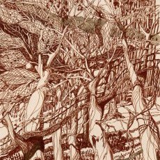 La Forêt Enchantée