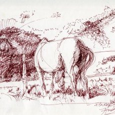 Poupie d'Irleau