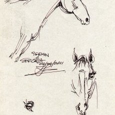 Igran à Strôza