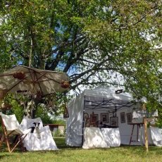 Sous un arbre