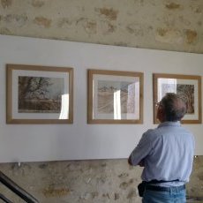 Visites