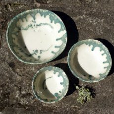 Saladiers "Lichen"...140 €