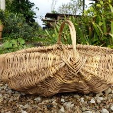 Panier en clématite