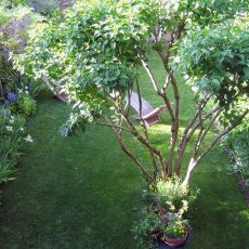 Jardin