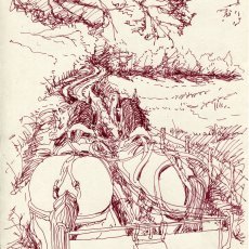 Attelage Jonas et Opium au Lindois