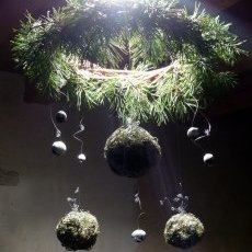 Suspendu de Noël...35 €