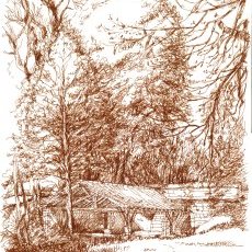 Lavoir à Saint-Adjutory
