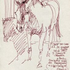 Chef de Clan à Pompadour
