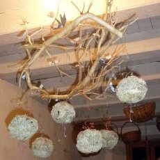 Suspendu et Lichens...180 €