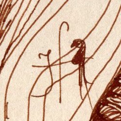 image Mentions légales