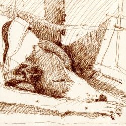 image Actualités