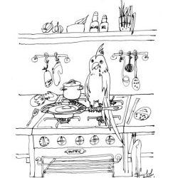 image Perroquet