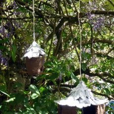 Sous la Glycine