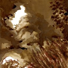 Rêve Feux