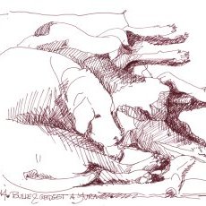 Les Chiens
