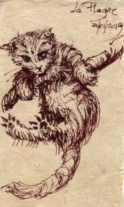 Chat