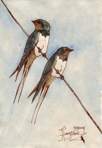 Les Hirondelles