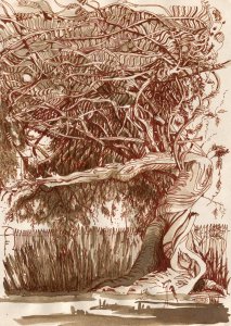 La Folie d'Une Glycine