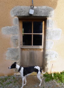 Porte d'entrée