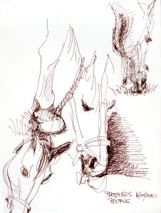 Poupie d'Irleau