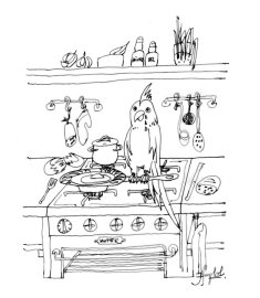 image Perroquet