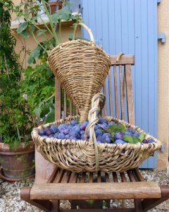 Les fruits du travail