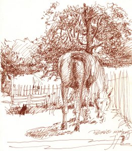 Poupie d'Irleau