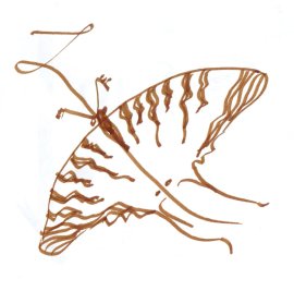 image Métamorphose