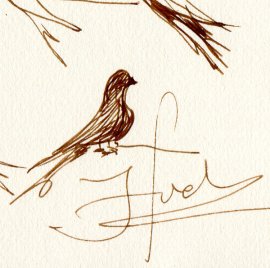 image Catalogues
