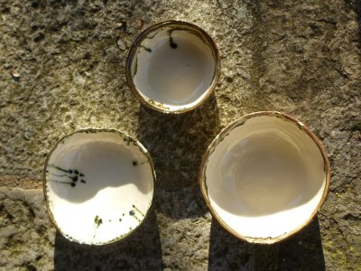 Saladiers "Mousse" Trio...140 €