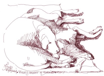 Les Chiens